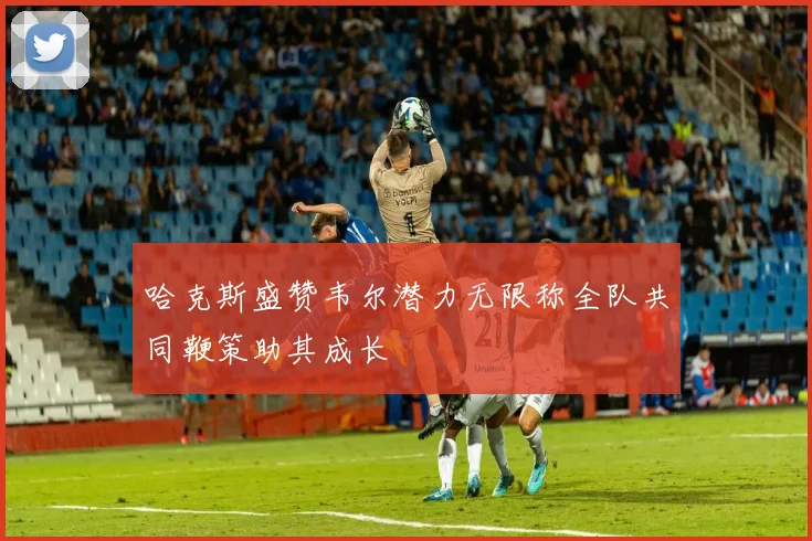 哈克斯盛赞韦尔潜力无限称全队共同鞭策助其成长