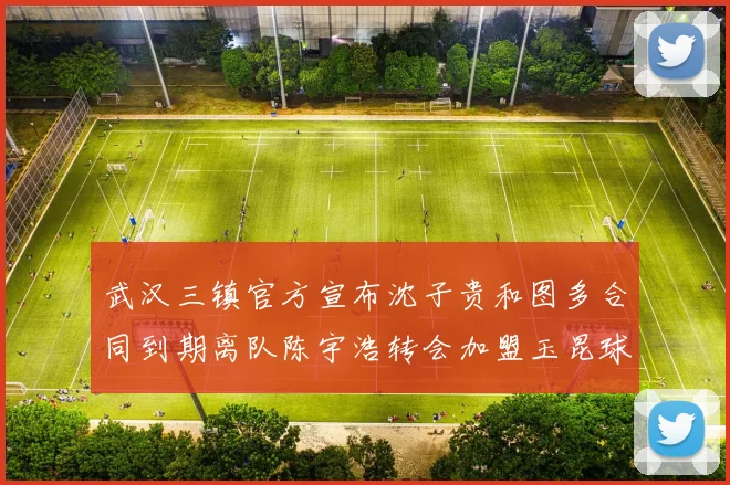 武汉三镇官方宣布沈子贵和图多合同到期离队陈宇浩转会加盟玉昆球队
