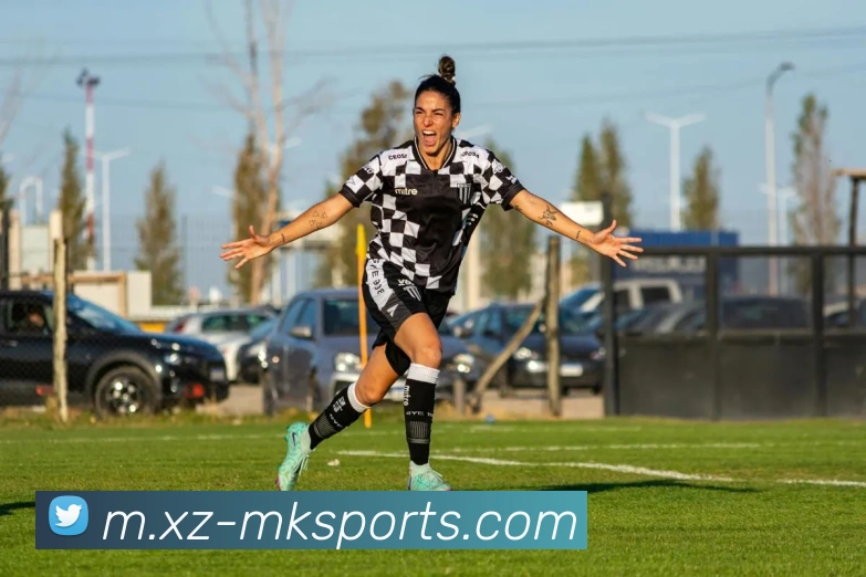 MK体育平台生态图